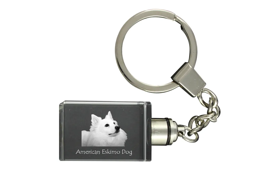 Regalo Unico Cane Eschimese Americano Portachiavi Foto Cristallo 3D