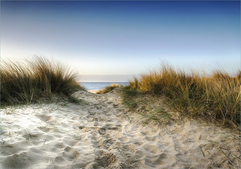 Wallario selbstklebendes Poster - Weg durch die Dünen zum Strand am Meer, Größe: 70 x 100 cm