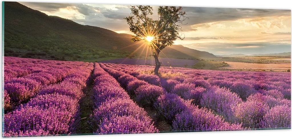 Bilder auf glas - Lavendel Berge Feld - 100x40cm - Glasbilder - Wandbilder - Kunstdruck - zum Aufhängen bereit - Wanddekoration aus Glas - Glas Bi...