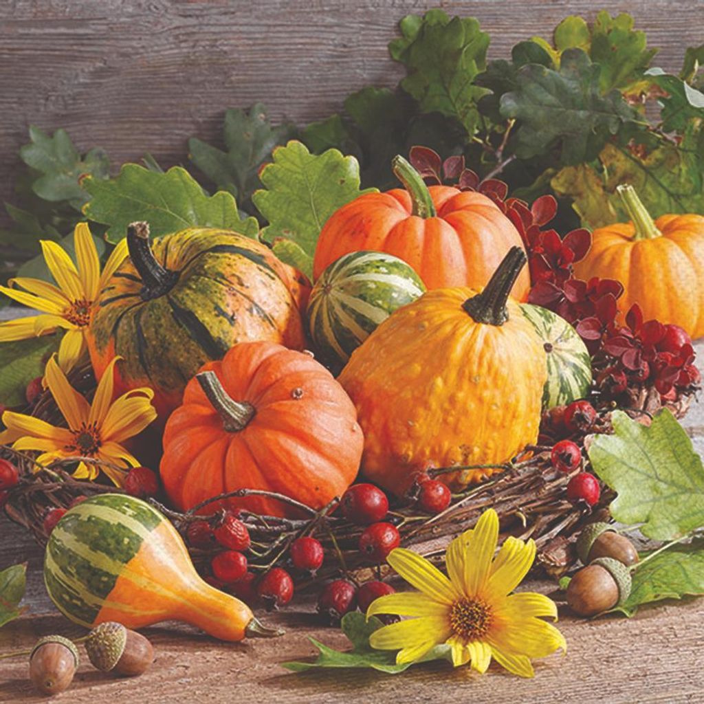Servietten 33x33 cm - Pumpkin varieties