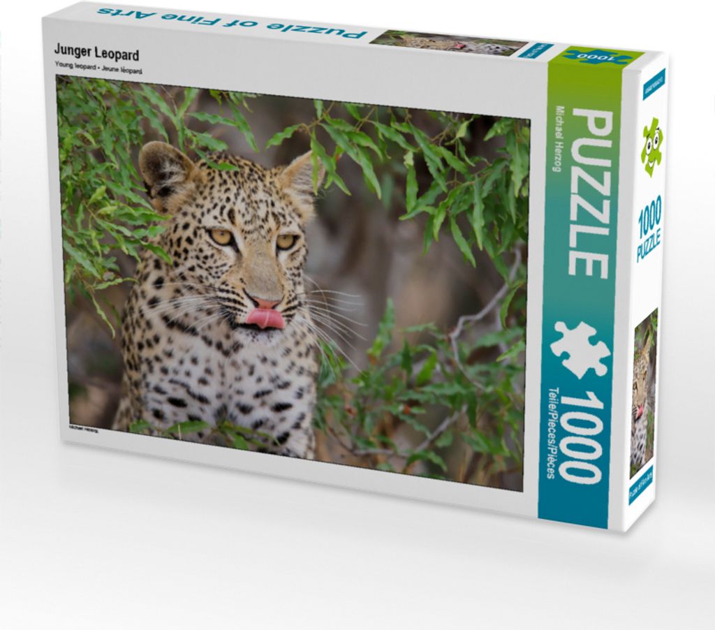 CALVENDO Puzzle Junger Leopard | 1000 Teile Lege-Größe 64x48cm Foto-Puzzle für glückliche Stunden