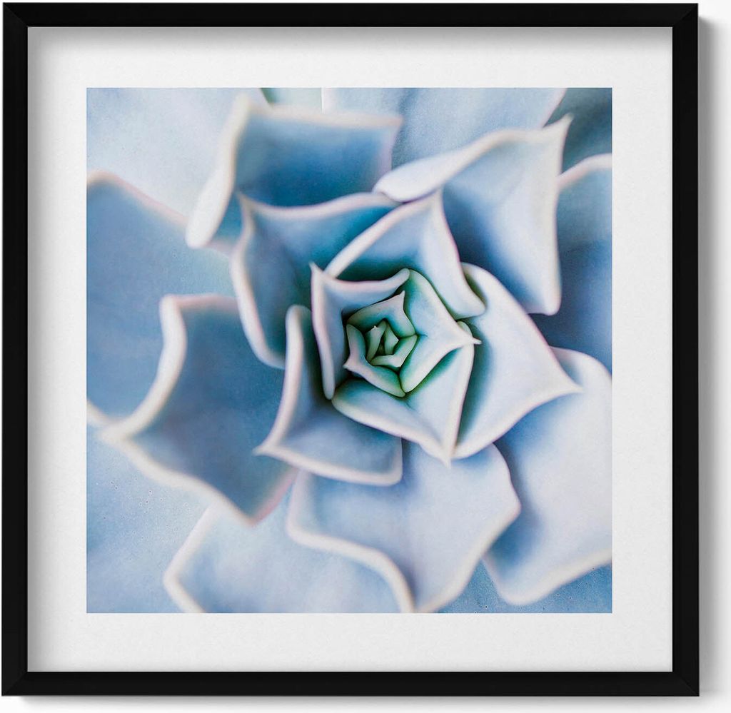 Blume– Wandbild mit Rahmen – Gerahmtes Bild  – Produktbild 
