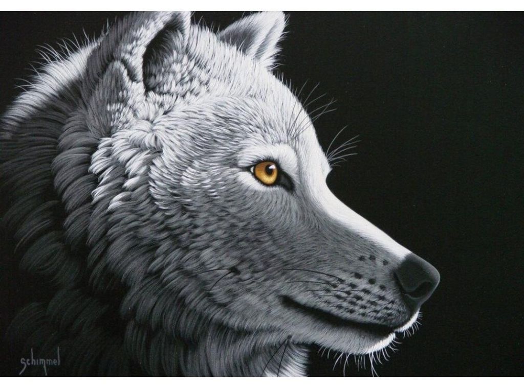 GRAFIK-Puzzle Wolf light 1000 dlks
