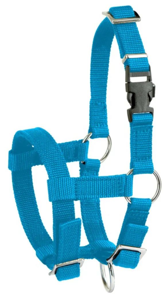Cavezza Alpaca Kerbl Blu 20mm Regolabile 27183 | Shop Online Professionale