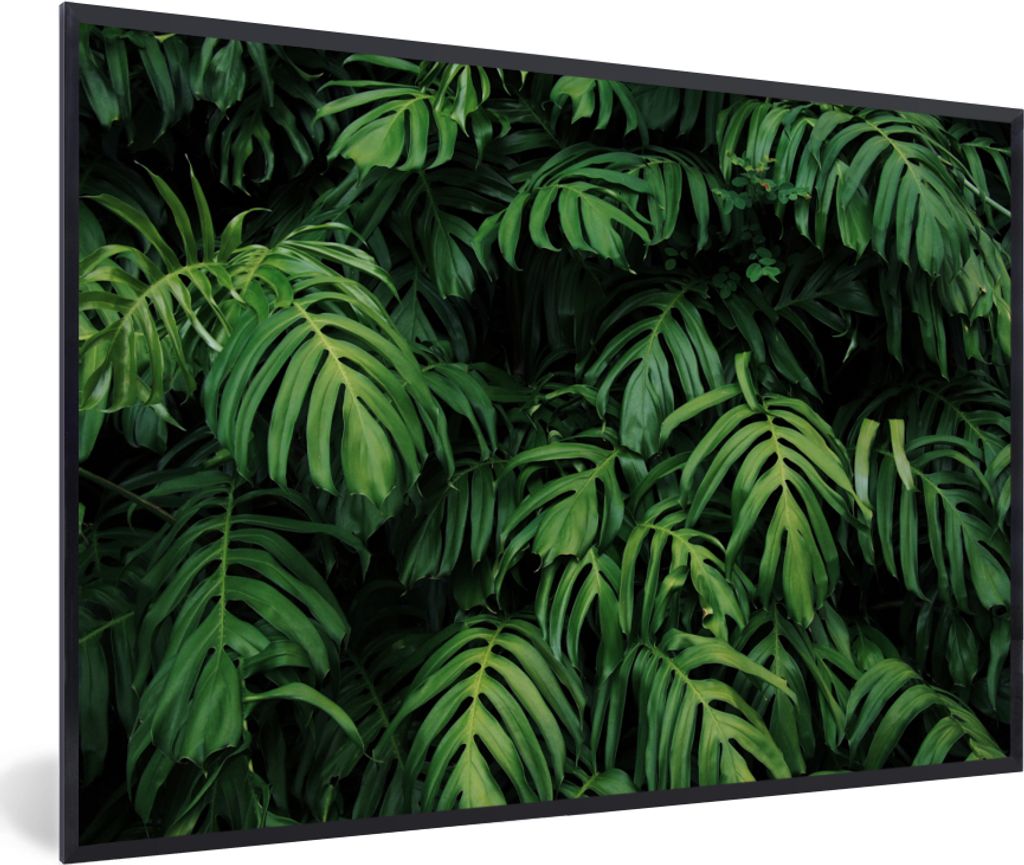 MuchoWow MuchoWow Gerahmtes Poster Blätter - Monstera - Abstrakt - Mädchen - Kinder - Jungen 30x20 cm - Poster mit zchwarzem Bilderrahmen - K...