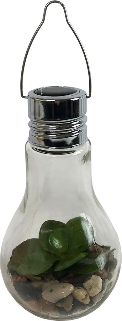 LED Glas Glühbirne zum Hängen mit Sukkulente Ø 9 x H 18 cm