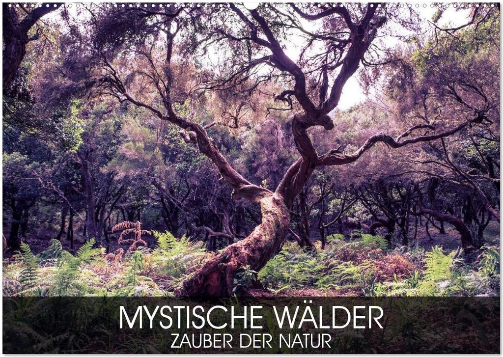 Mystische Wälder - Zauber der Natur (Wandkalender 2026 DIN A2 quer), CALVENDO Monatskalender