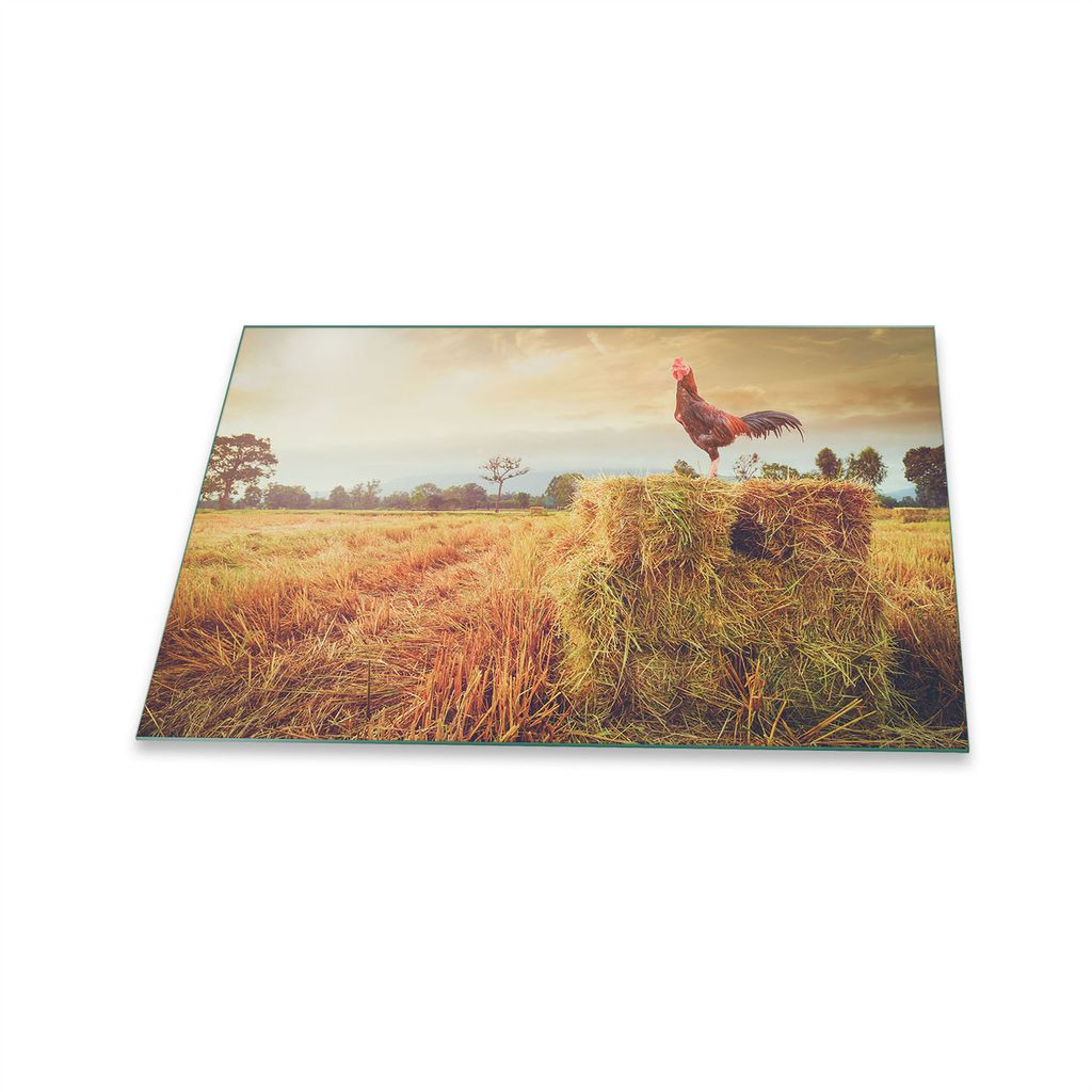 Herdabdeckplatte Glaskeramik 1 Teilig 80x52 Natur Grün Abdeckung Glas Spritzschutz