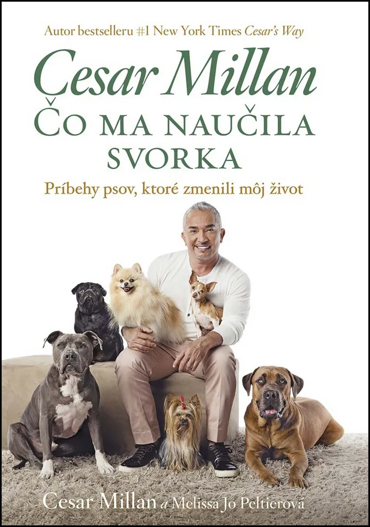 Comprendre les problèmes de comportement canin avec le livre de Millan