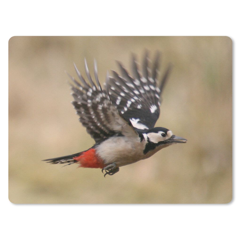 MuchoWow Mauspad Mousepad Ein Buntspecht auf dem Weg zur Fütterung seiner Jungen 23x19 cm - Mousepads - Maus Mat - Pad - Mausunterlage - Schreib...