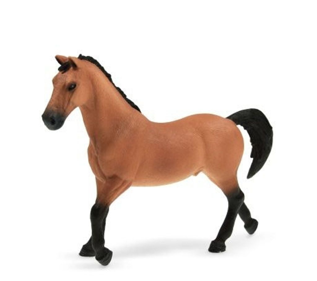 Étalon Trakehner - Müller Exclusiv Image du produit 