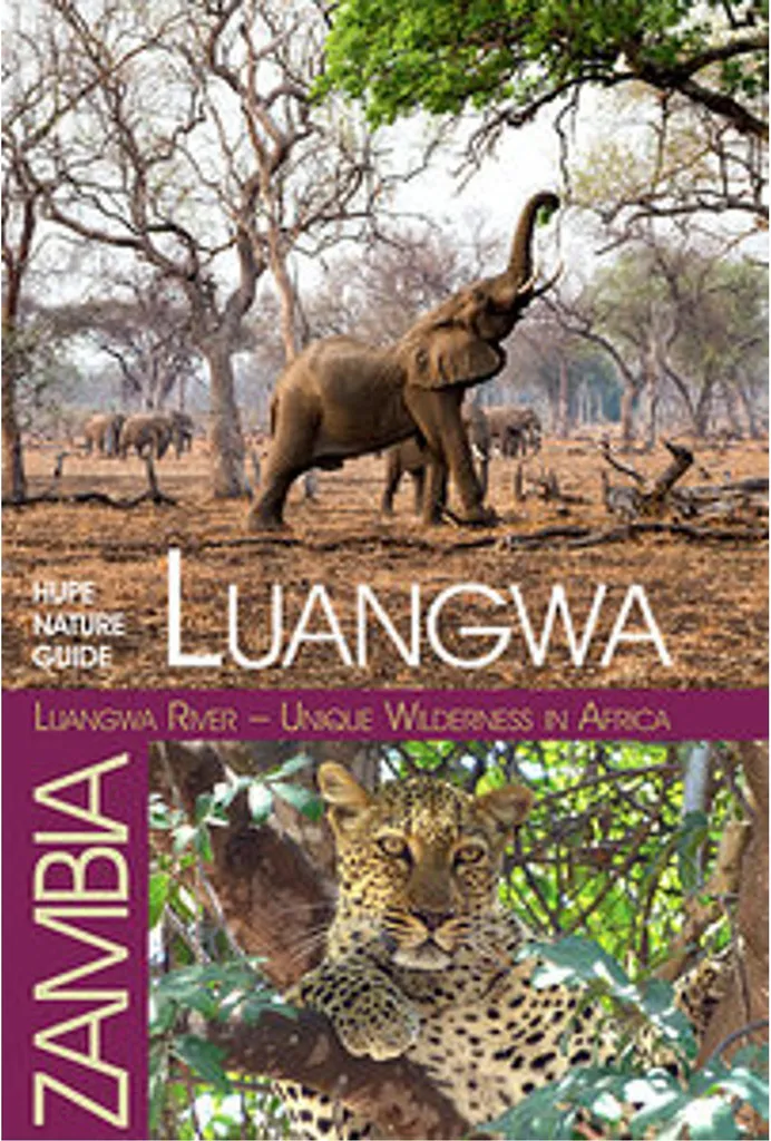 Affiche safari Rivière Luangwa nature sauvage d'Afrique papier mat