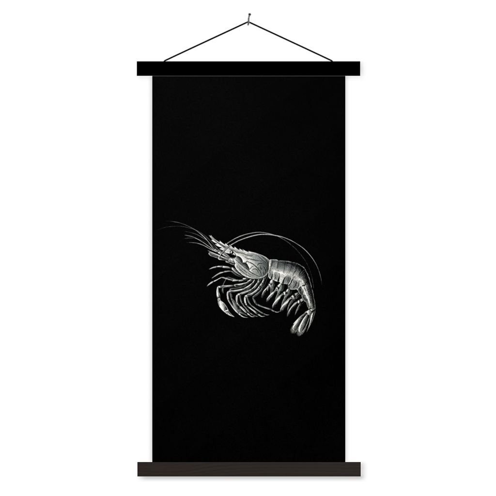 MuchoWow Textilposter Shrimps - Vintage - Ernst Haeckel - Tiere - Kunst 60x120 cm mit schwarzem Rahmen - Magnete