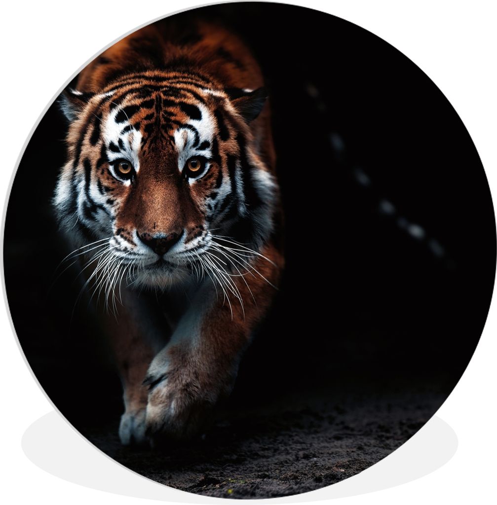 MuchoWow Rundes Wandbild - Runde Bilder Tiere - Tiger - Schwarz - Wild - Porträt Ø 30 cm Kreis Wanddekoration Kunststoff - Wandkreis - Wandschm...