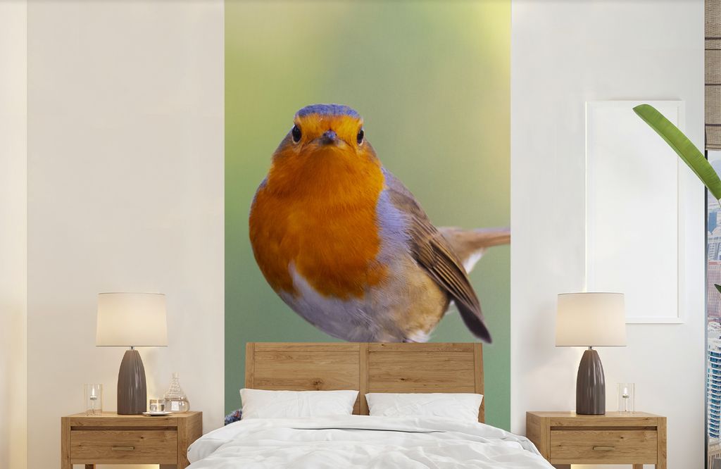 MuchoWow Fototapete für Wohnzimmer oder Schlafzimmer Wandtapete Vinyl Motivtapete Steine - Rotkehlchen - Natur - 120x240 cm - Hintergrundbild