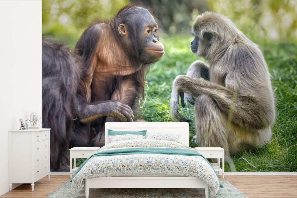 MuchoWow Fototapete für Wohnzimmer oder Schlafzimmer Wandtapete Vinyl Motivtapete Affen - Tiere - Familie - 450x300 cm - Gemusterte