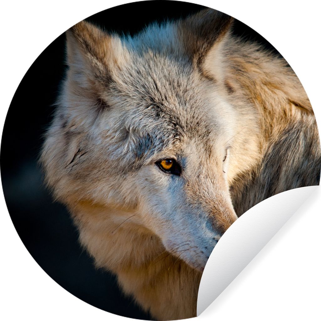 MuchoWow Runde Wandtattoo - Wandsticker Tapete Aufkleber Leichter Polarwolf Ø 80 cm Selbstklebend und Repositionierbar - Wandaufkleber - Kreis -...