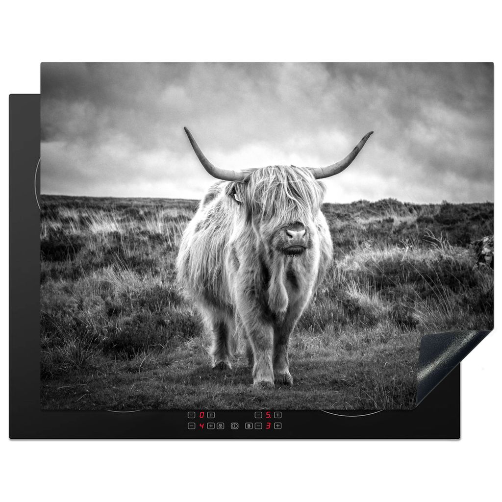 KitchenYeah Herdabdeckplatte Schottischer Hochländer - Tiere - Wolken - Kuh - Natur , 77x59cm, Küche Deko, Glaskeramikkochfeld Herdabdeckung, A...