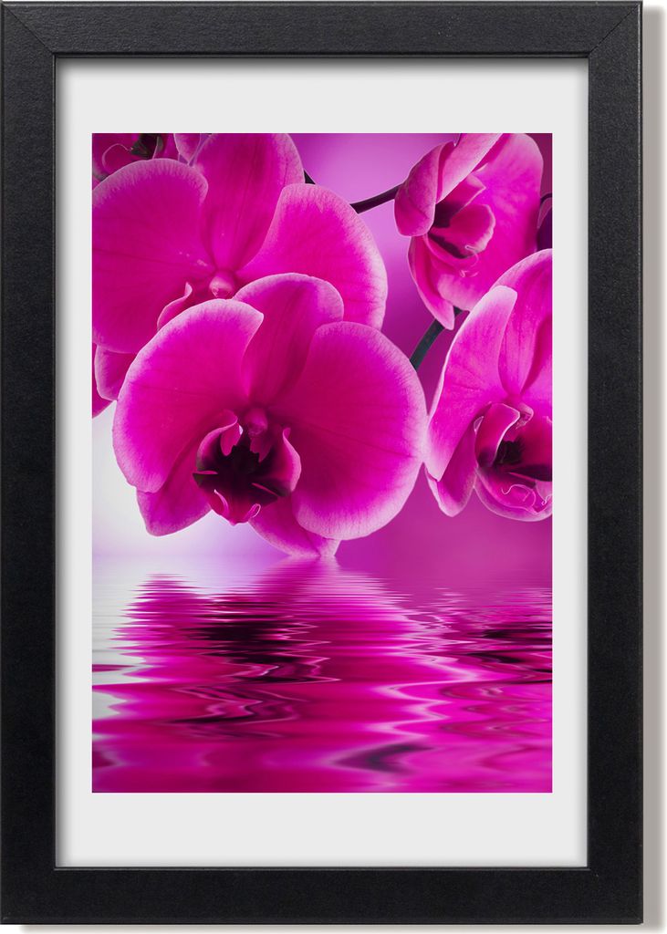 Bild 20x30 MDF-Rahmen, Wandkunst Rosa Orchidee