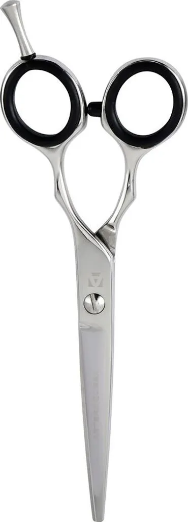 Ciseaux Coiffure 6 Pouces Micro-dentés ARTERO pour Coupe de Cheveux