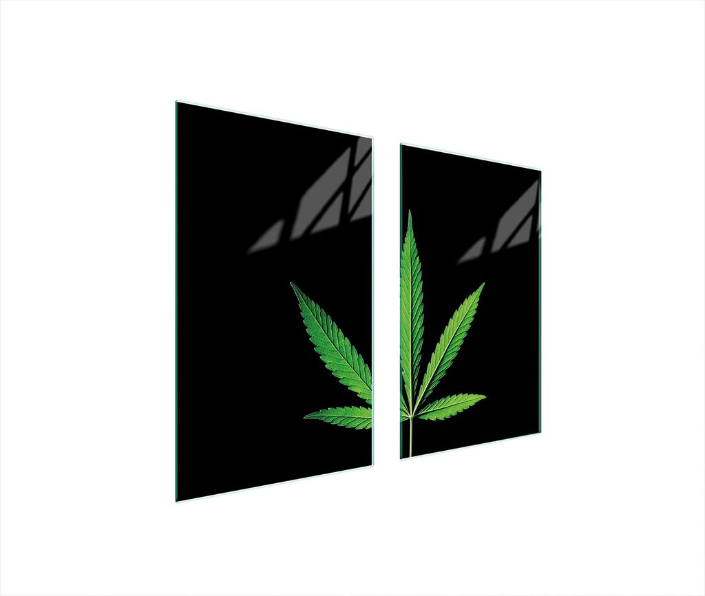 Glasschutzplatte Für Herd 75X52 Blatt