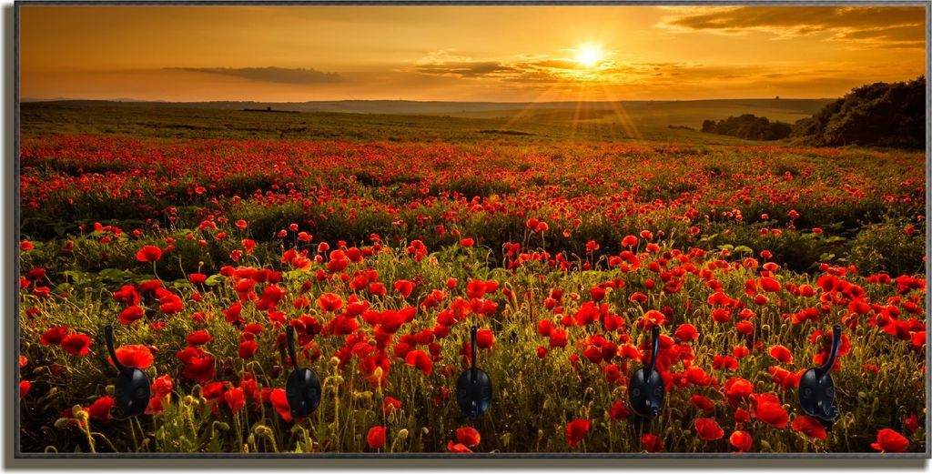 Wallario Flurgarderobe Wandgarderobe aus Holz, mit 5 Haken, Größe 80 x 40 cm, Motiv Mohnblumenwiese bei Sonnenuntergang am Abend