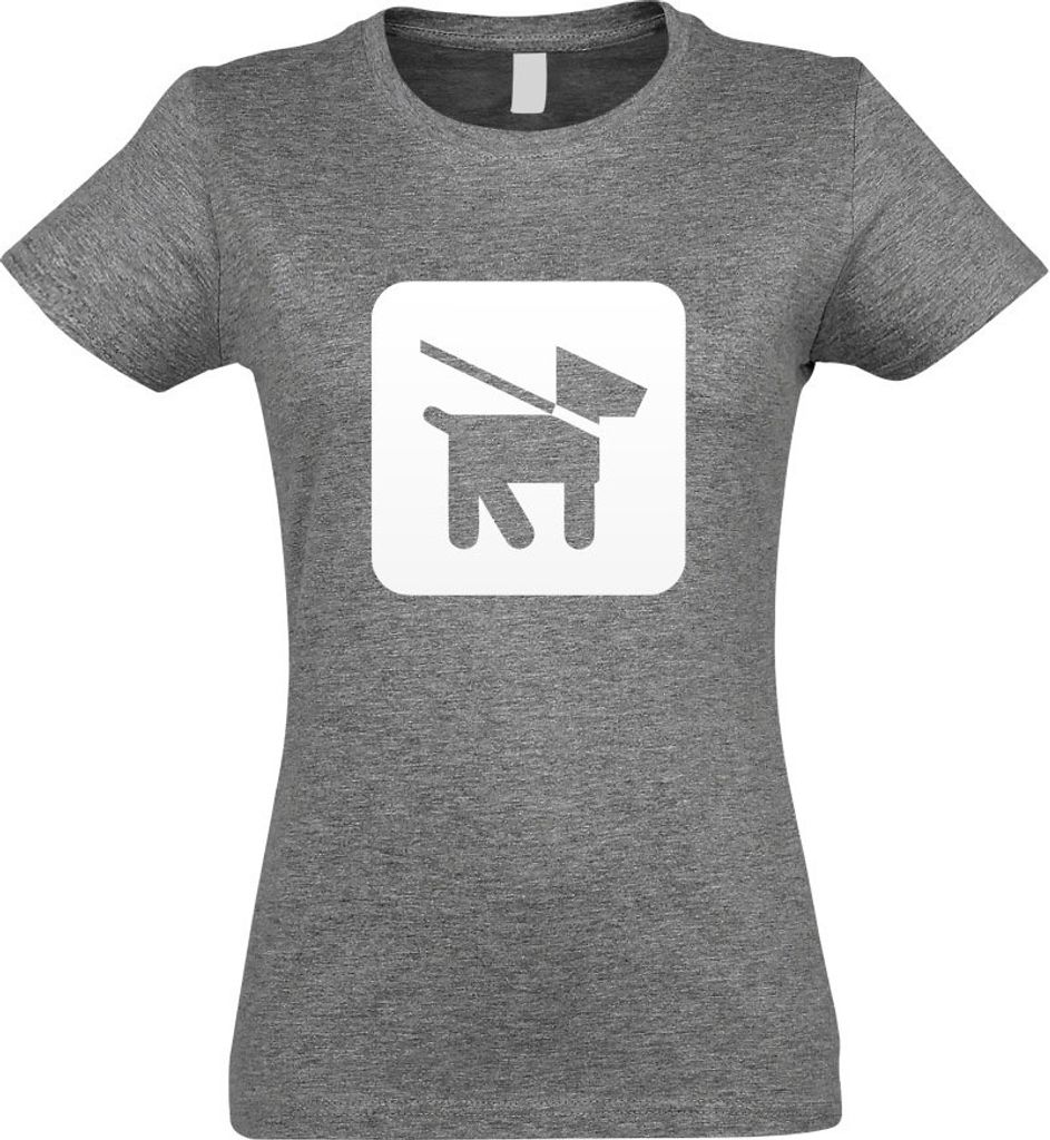 Kiwistar - T-Shirt tailliert - Damen - Graumeliert - Hunde Leinenzwang Piktogramme - mit Motiv Bedruckt - Funshirt Design - Sport - Freizeit - Dame...