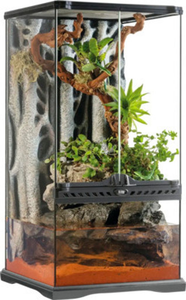 Terrarium, Paludarium Exo Terra small X-tall, 30 x 30 x 60 Zdjęcie produktu 