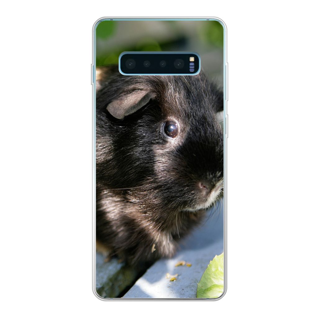 MuchoWow Handyhülle Schutzhülle Hülle für Samsung Galaxy S10 Plus Meerschweinchen im Garten Silikon Softcase Handy Hülle - Schutzhülle
