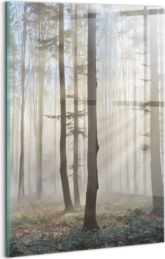 Designer Glasbild - Wandbild - Glas Bild - 20x30 cm - Wald Im Nebel