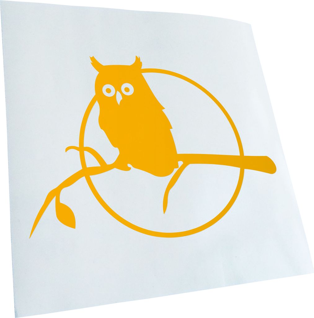hauptsachebeklebt Kiwistar - Autoaufkleber - Eule auf einem AST - Owl on a Branch Heckscheibe - Aufkleber für Auto Kfz Fahrrad, LKW, Truck Mofa