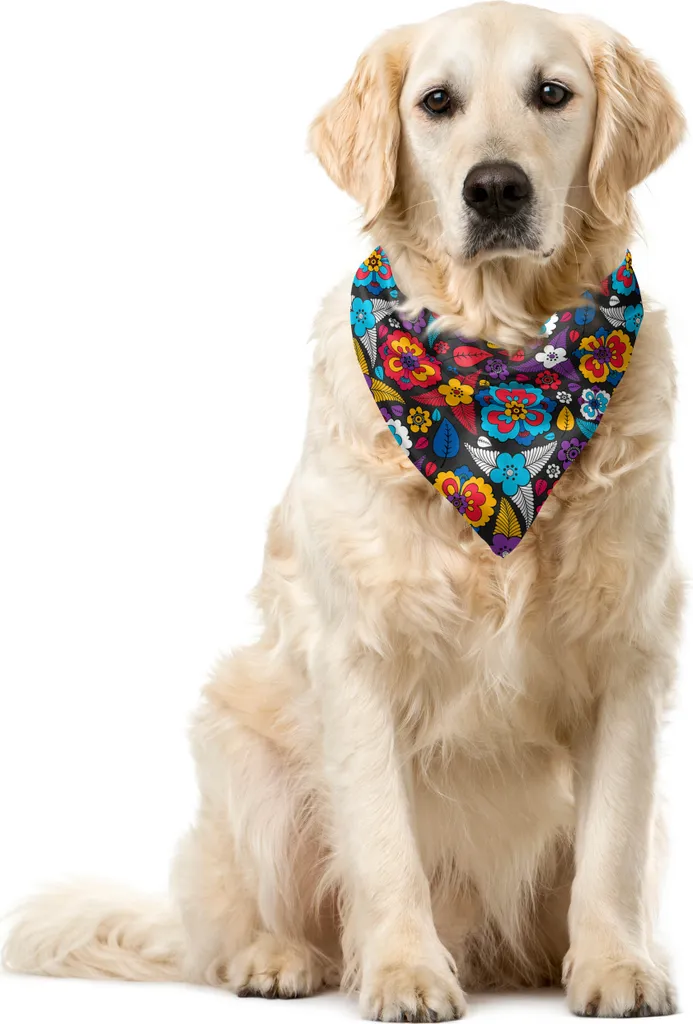 Scheda Tecnica ABAKUHAUS Bandana Pet 55x55 cm Aloha Style Multicolore