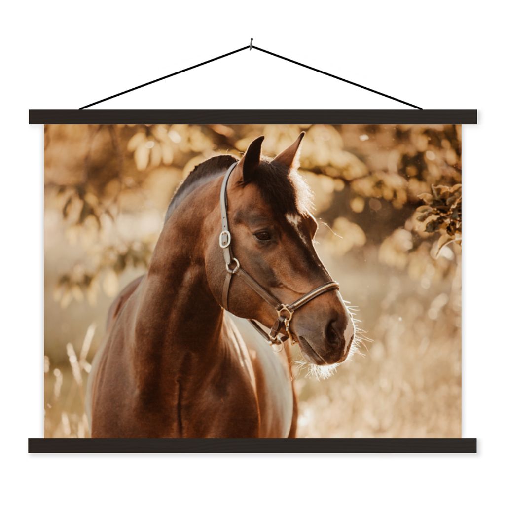 MuchoWow Textilposter Pferd - Sonne - Porträt - Natur - Braun 40x30 cm mit schwarzem Rahmen - Dekorationen