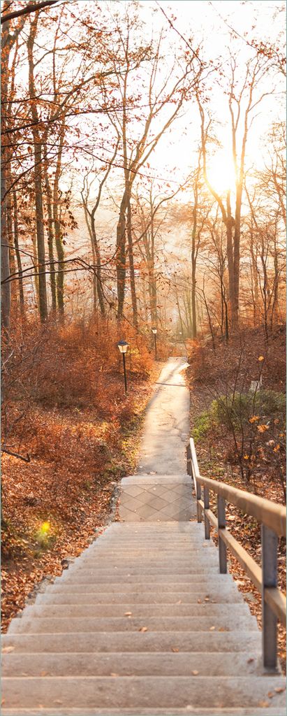 Wallario Poster - Weg in den Sonnenuntergang, Kunstdruck Größe: 80 x 200 cm
