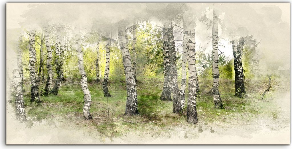 Coloray Spritzschutz aus Glas 140x70 Wandkunst Küchenrückwand Foto Birkenhain Aquarell Wald