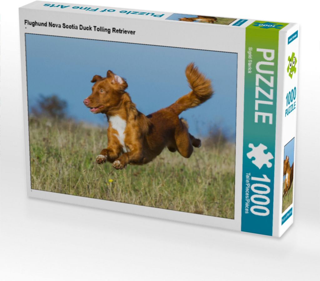 CALVENDO Puzzle Flughund Nova Scotia Duck Tolling Retriever | 1000 Teile Lege-Größe 64x48cm Foto-Puzzle für glückliche Stunden