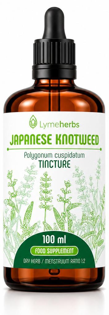 Reynoutria japonica, tintura 1:2 (100ml) Immagine del prodotto 