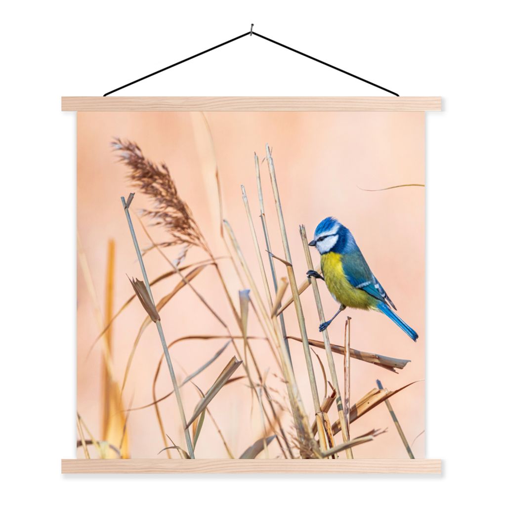 MuchoWow Textilposter Vogel - Blaumeise - Schilf 120x120 cm mit holzfarbenen Rahmen - Textil-Poster