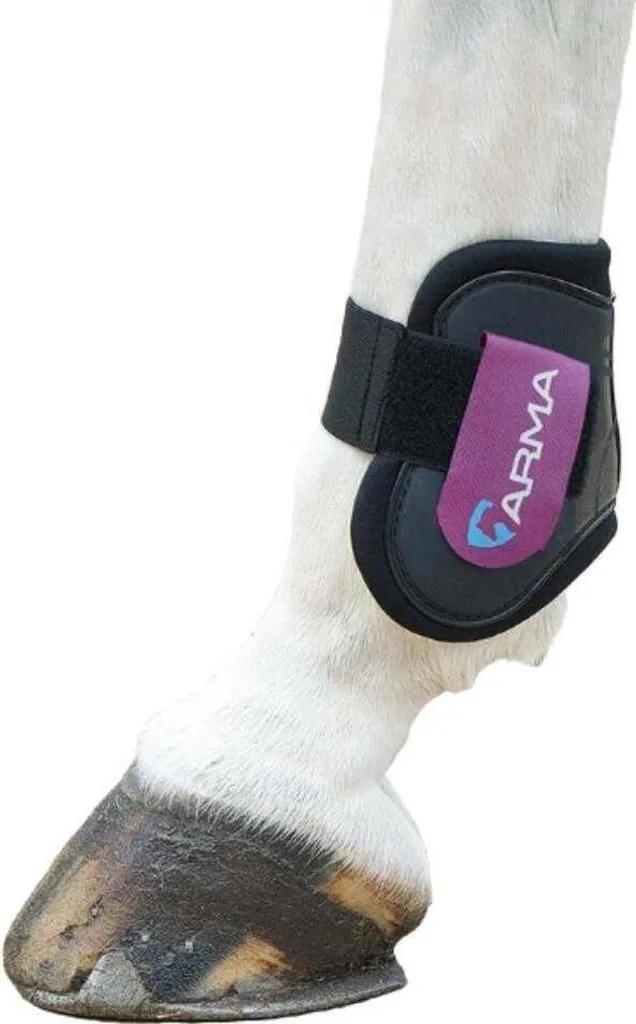 Salute Equestre: ARMA Stivali Fetlock ER252 Traspiranti Nero/Plum