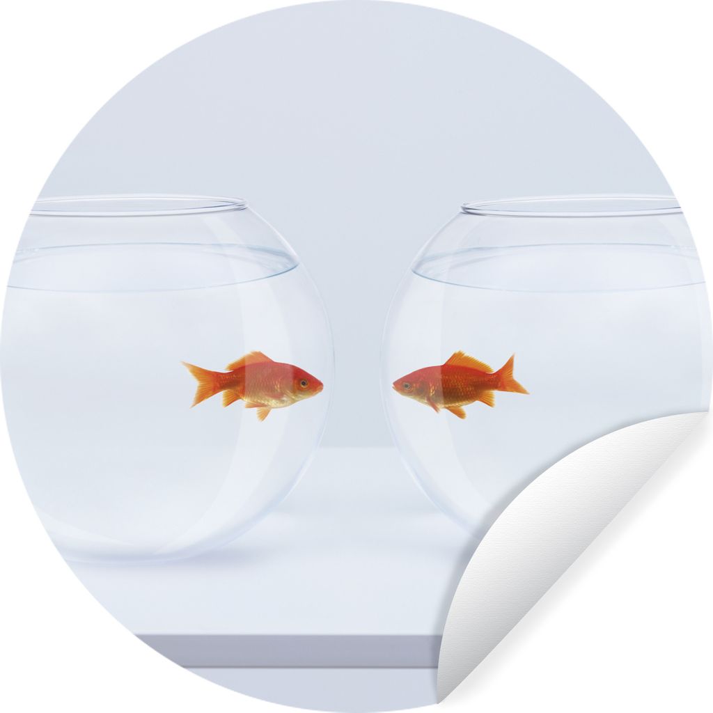 MuchoWow Runde Wandtattoo - Wandsticker Tapete Aufkleber Goldfisch - Fischgläser - Weiß Ø 30 cm Selbstklebend und Repositionierbar - Wandaufkl...