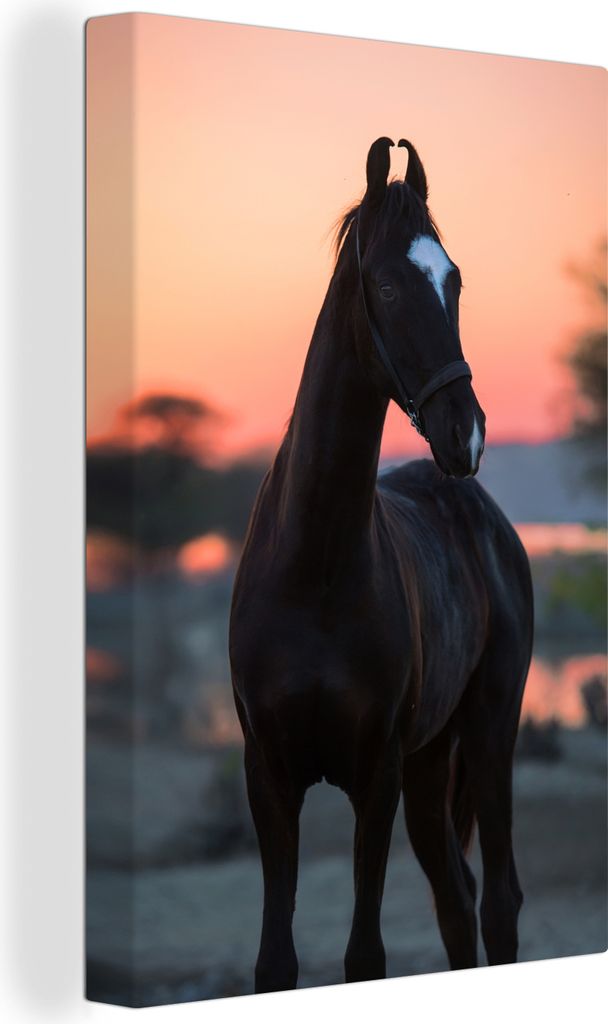 OneMillionCanvasses - Leinwandbilder - 90x140 cm, Pferde - Sonnenuntergang - Marwari, Wandbilder Kunstdruck Wanddekoration - Wandschmucke - Schla...