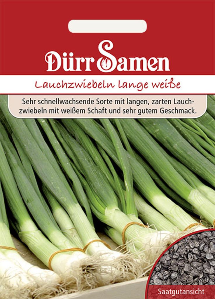 A seed packet for 'Lauchzwiebeln lange weiße' (long white spring onions) from Dürr Samen, showing a close-up of the spring onions and a sample of the seeds.