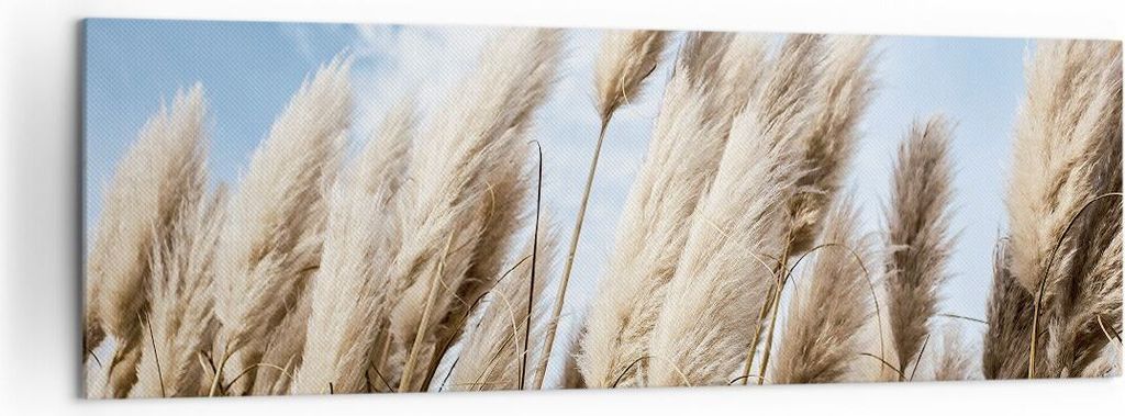 Bild auf Leinwand - Leinwandbild - Einteilig - Stock Himmel Boho - 160x50cm - Wand Bild - Wanddeko - Wandbilder - Leinwanddruck - Bilder - Wanddeko...