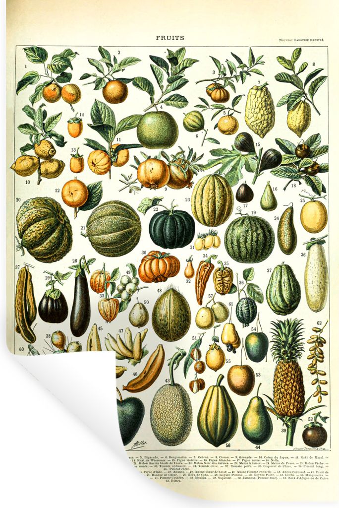 MuchoWow Wandtattoo Wandsticker Wandaufkleber Obst - Lebensmittel - Design - Vintage - Adolphe Millot 80x120 cm Selbstklebend und Repositionierba...
