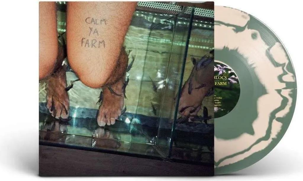 Vinyle rock The Murlocs Calm Ya Farm album bicolore sans saut