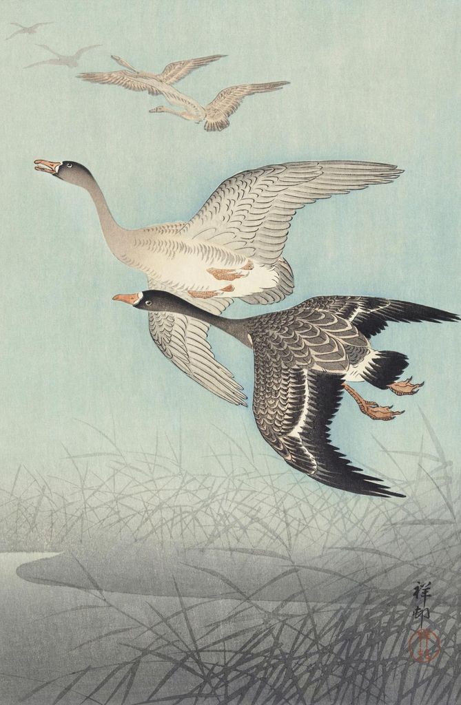 Plakat 53x81cm Große Gänse im Flug, Vintage Japanischer Kranich für das Wohnzimmer