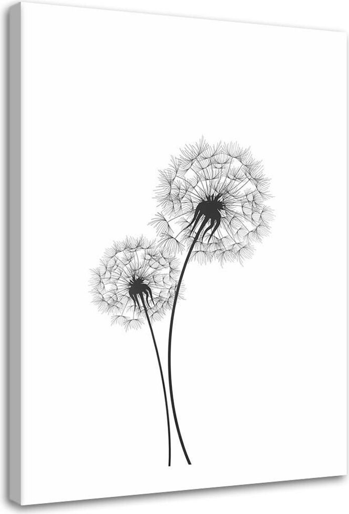 Leinwandbild zwei aufblasbare objekte 40x60 cm Feeby grau wandbild bereit zum aufhängen