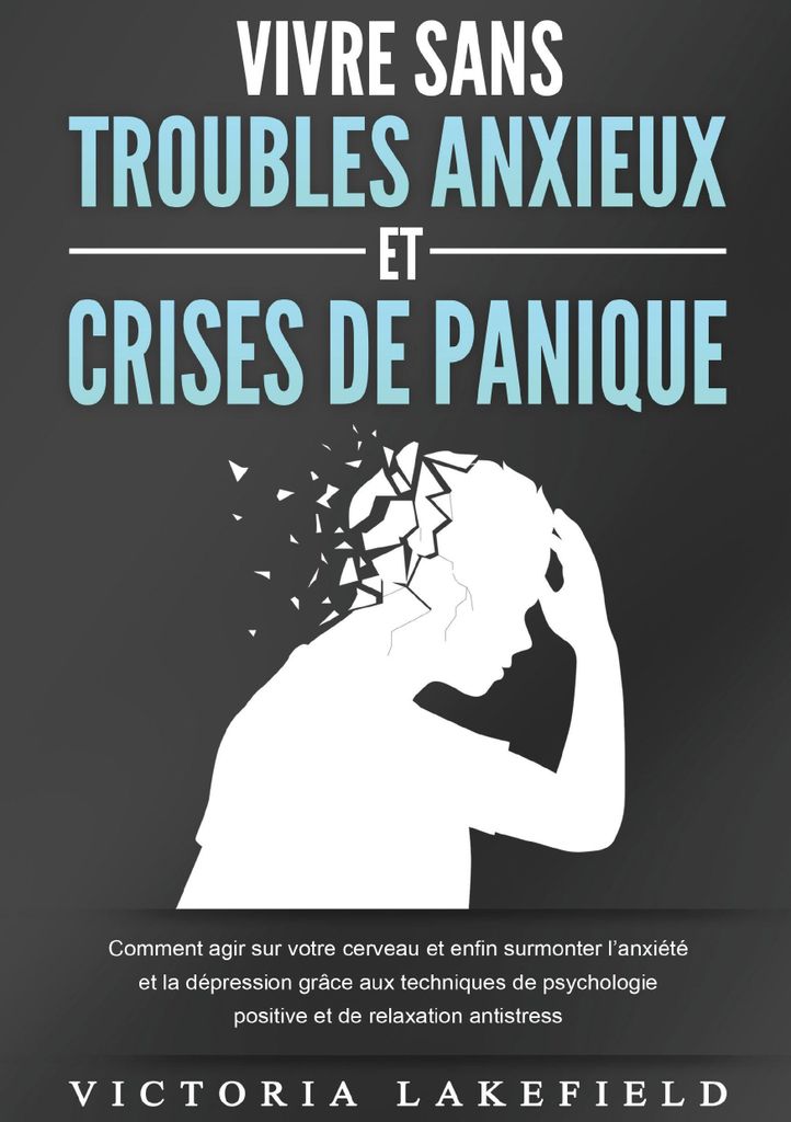 Vivre Sans Troubles Anxieux Et Crises De Panique