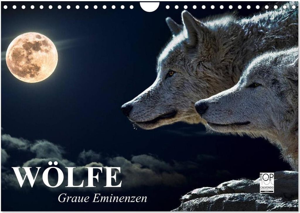 Wölfe. Graue Eminenzen (Wandkalender 2026 DIN A4 quer), CALVENDO Monatskalender