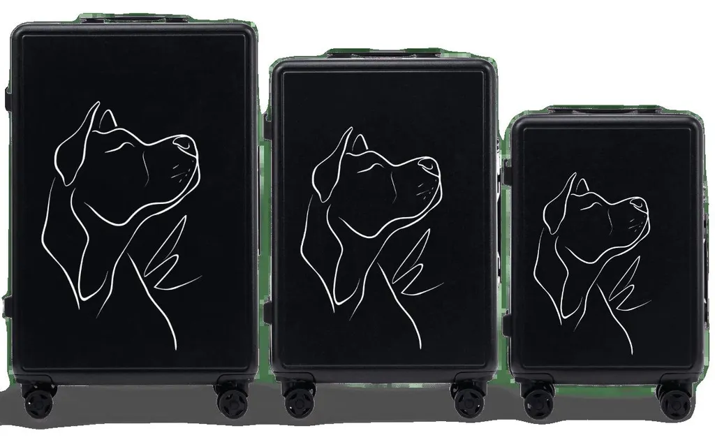 Valise rigide noire en ABS - Set de voyage multi-formats robuste et chic